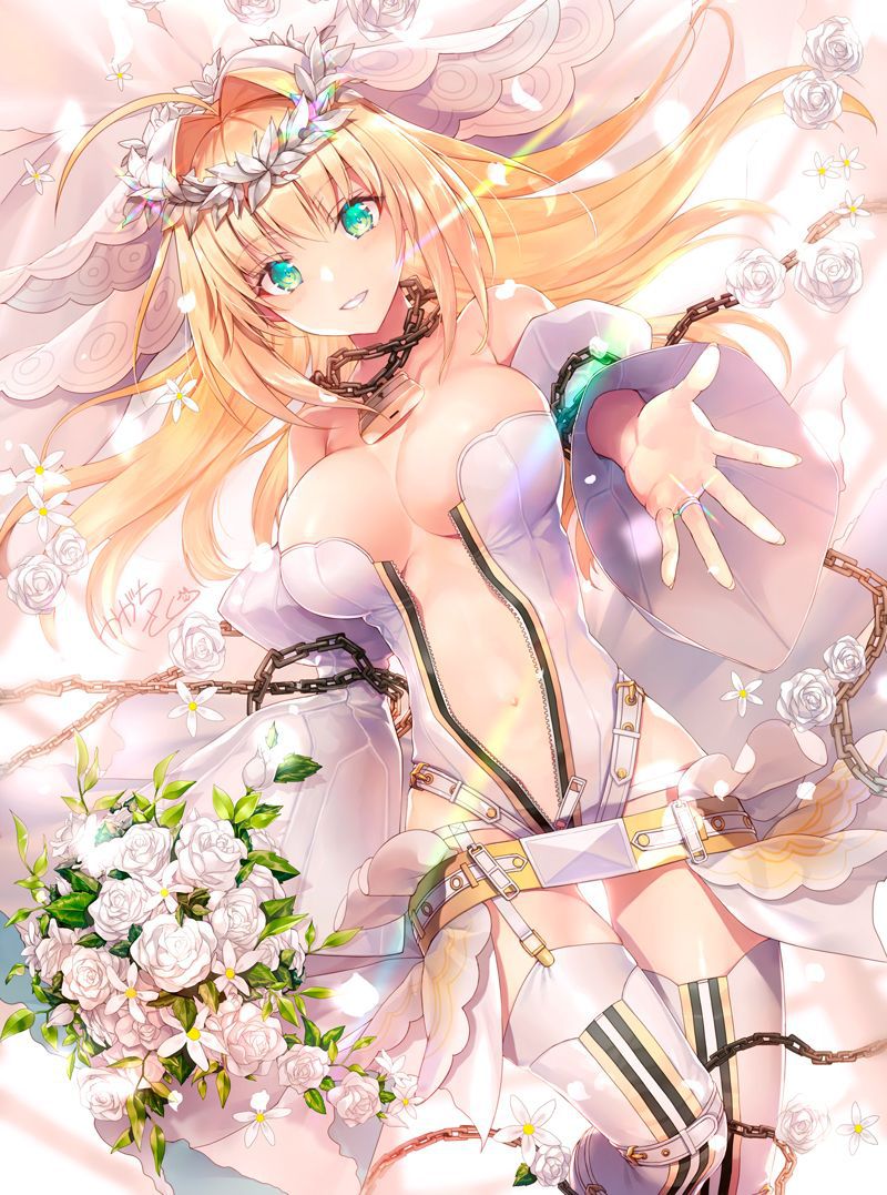 【Secondary】 Fate/Grand Order (Fate/EXTRA-CCC), Nero Claudius' love images summary! No.16 [20 sheets] 17