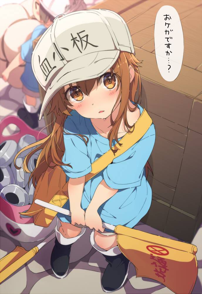 [Secondary] working cells, platelets too cute image summary! No.02 [16 sheets] 1