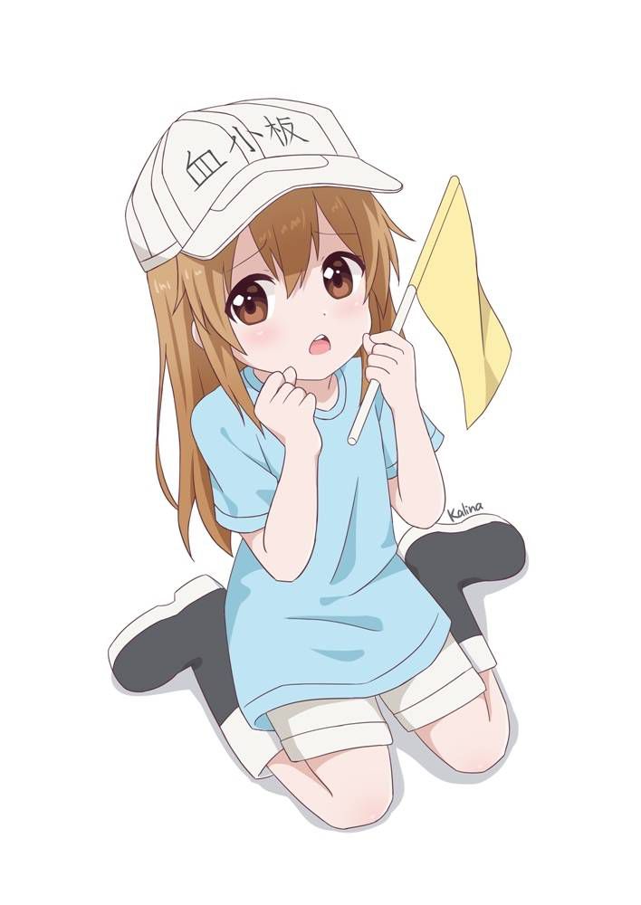 [Secondary] working cells, platelets too cute image summary! No.02 [16 sheets] 2