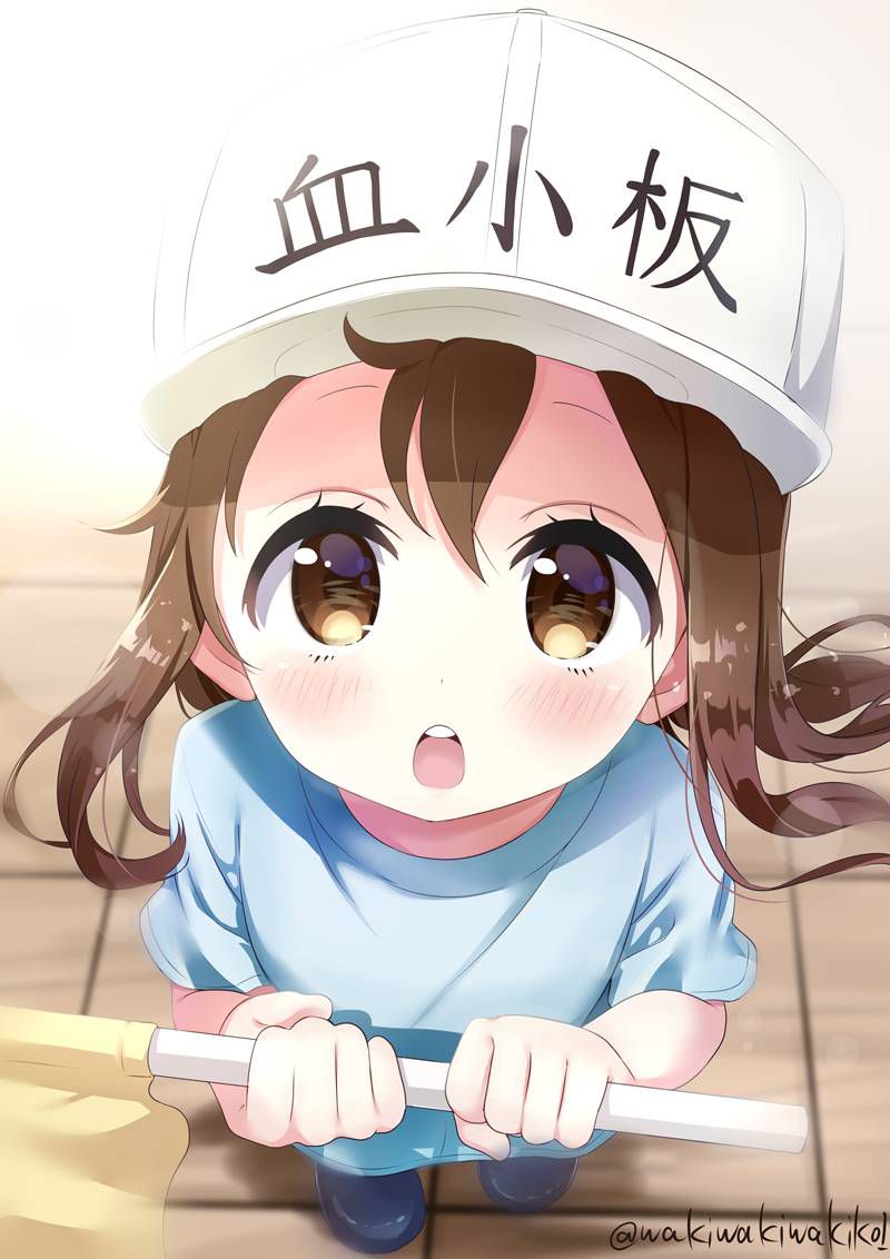 [Secondary] working cells, platelets too cute image summary! No.02 [16 sheets] 4