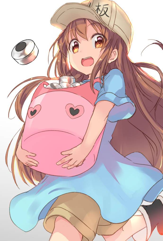 [Secondary] working cells, platelets too cute image summary! No.02 [16 sheets] 5