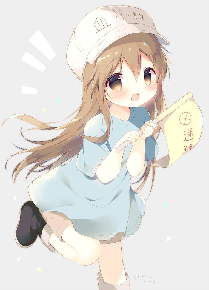 [Secondary] working cells, platelets too cute image summary! No.02 [16 sheets] 8