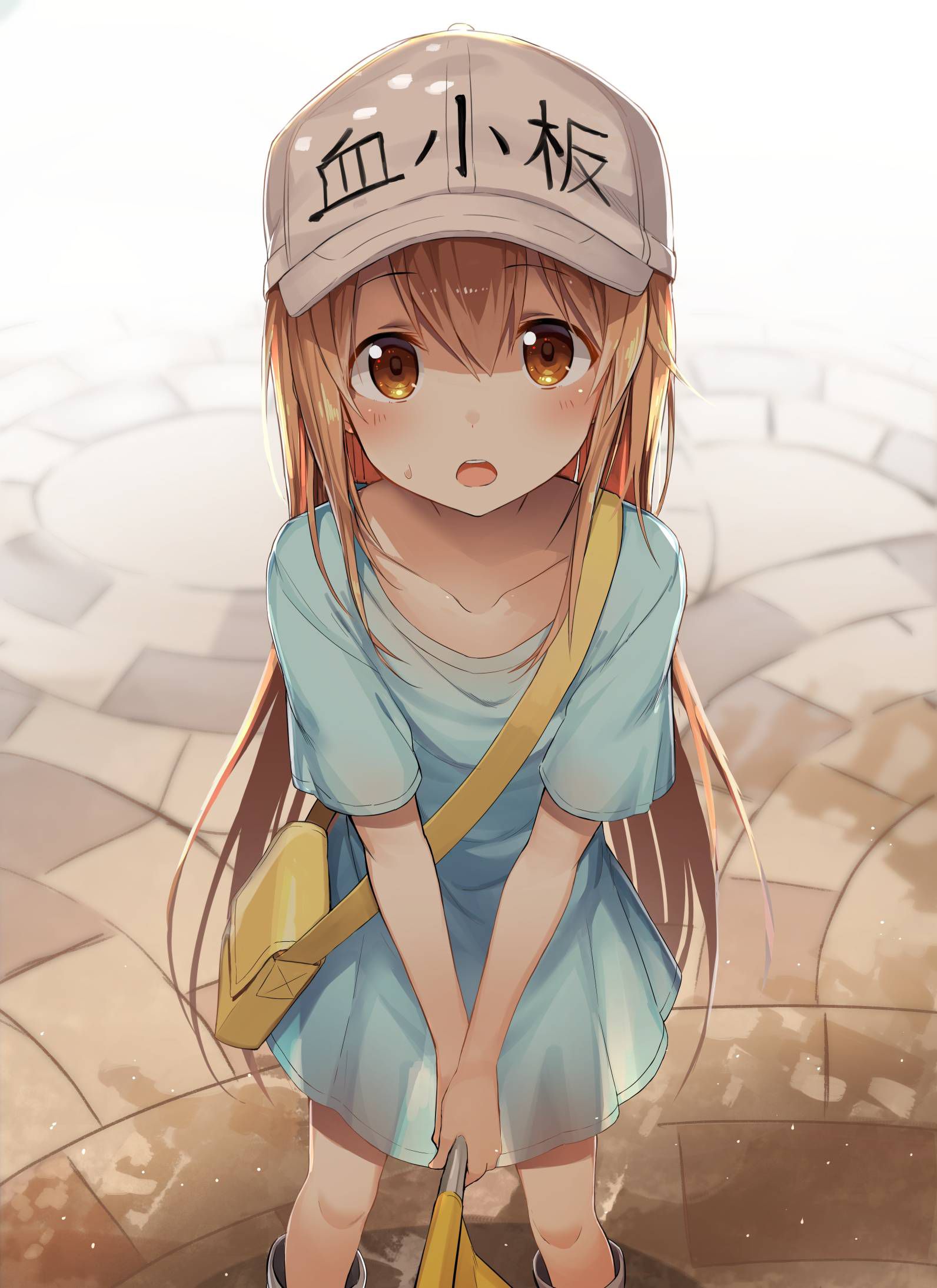 [Secondary] working cells, platelets too cute image summary! No.02 [16 sheets] 9