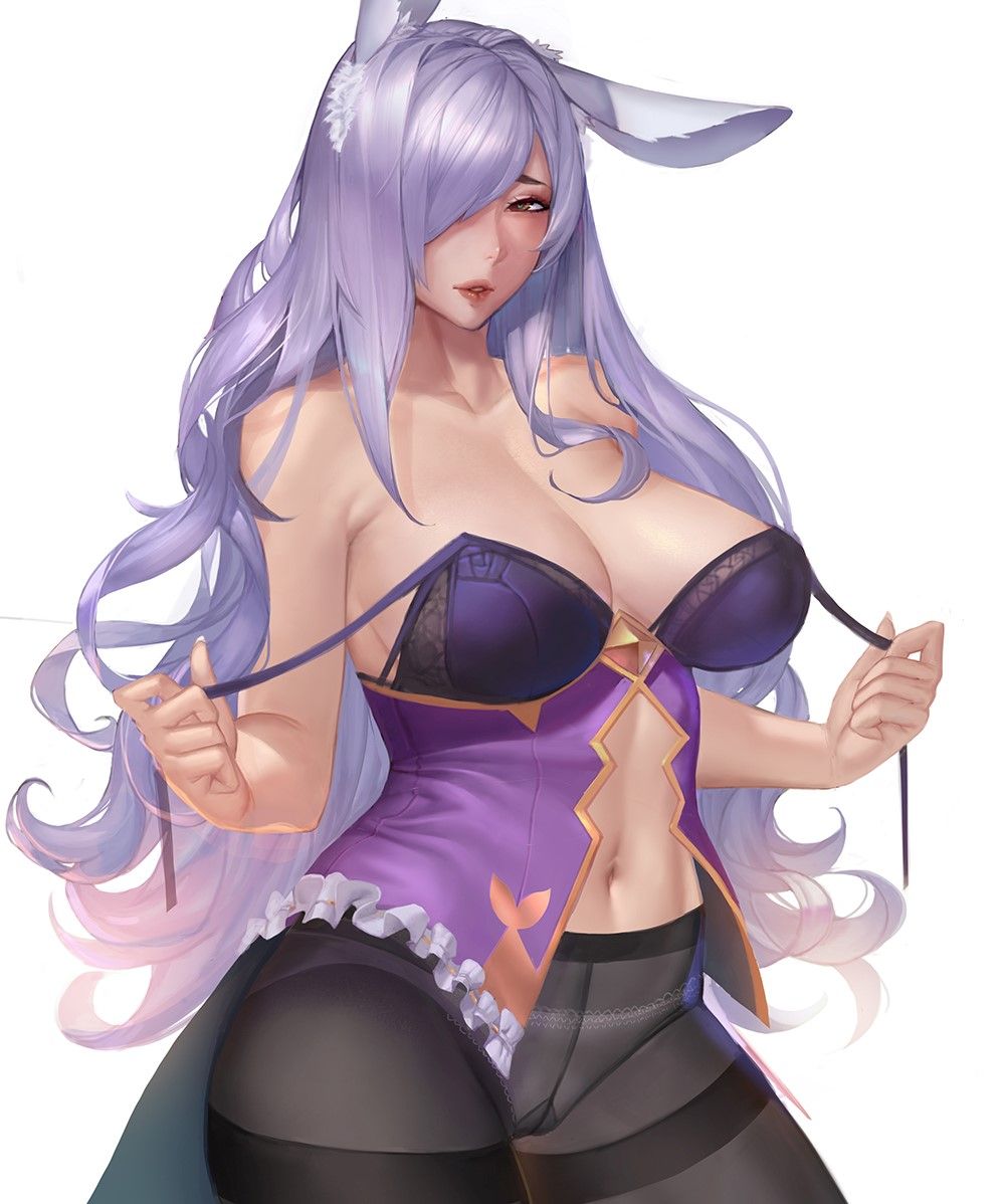 Camilla (Fire Emblem) 10