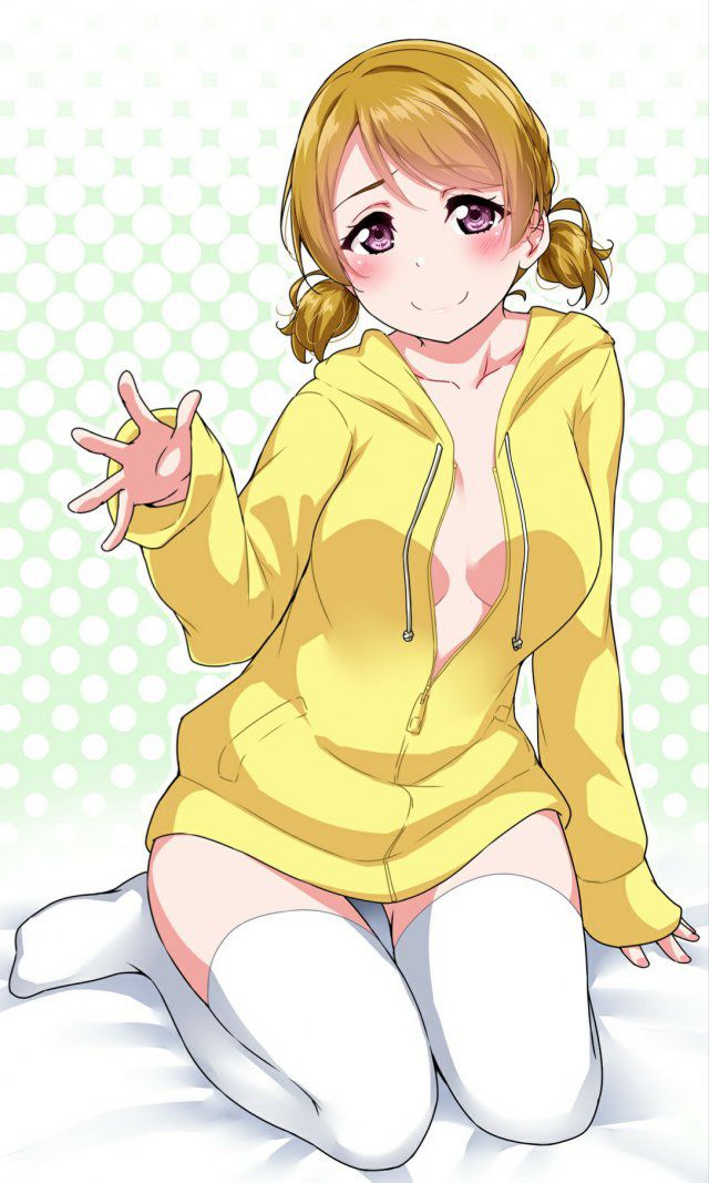 【Secondary】Love Live Image 【Erotic】 Part 4 45