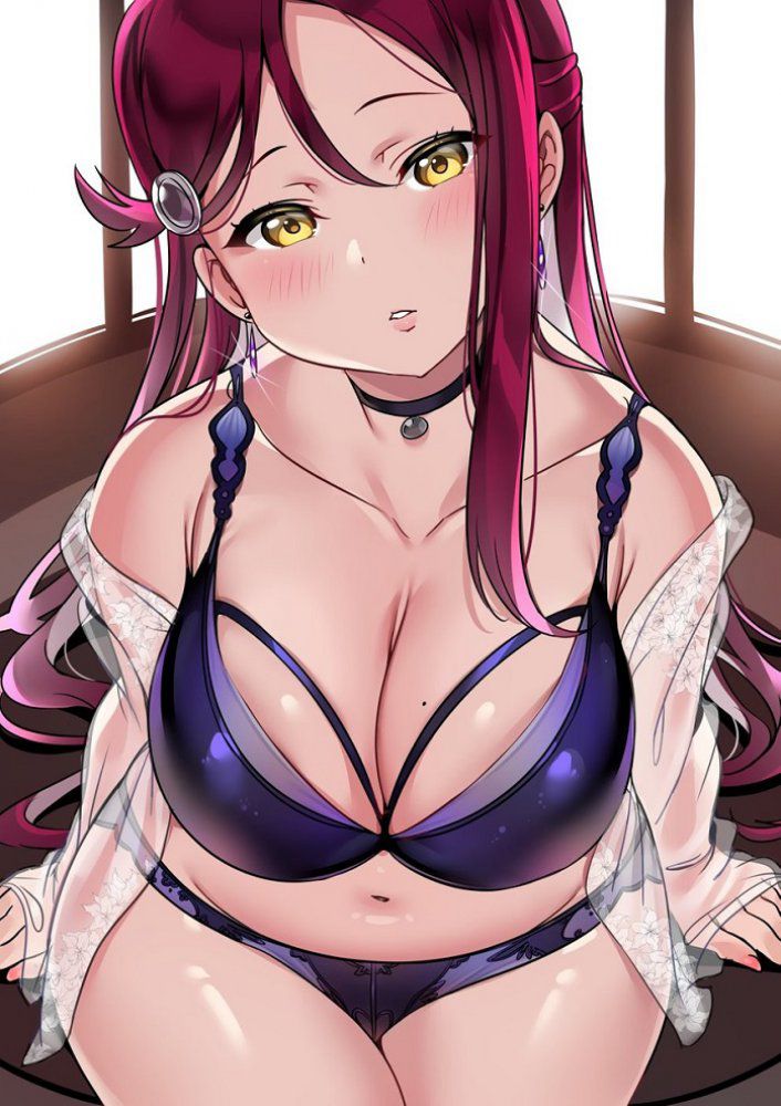 【Secondary】Love Live Image 【Erotic】 Part 4 51