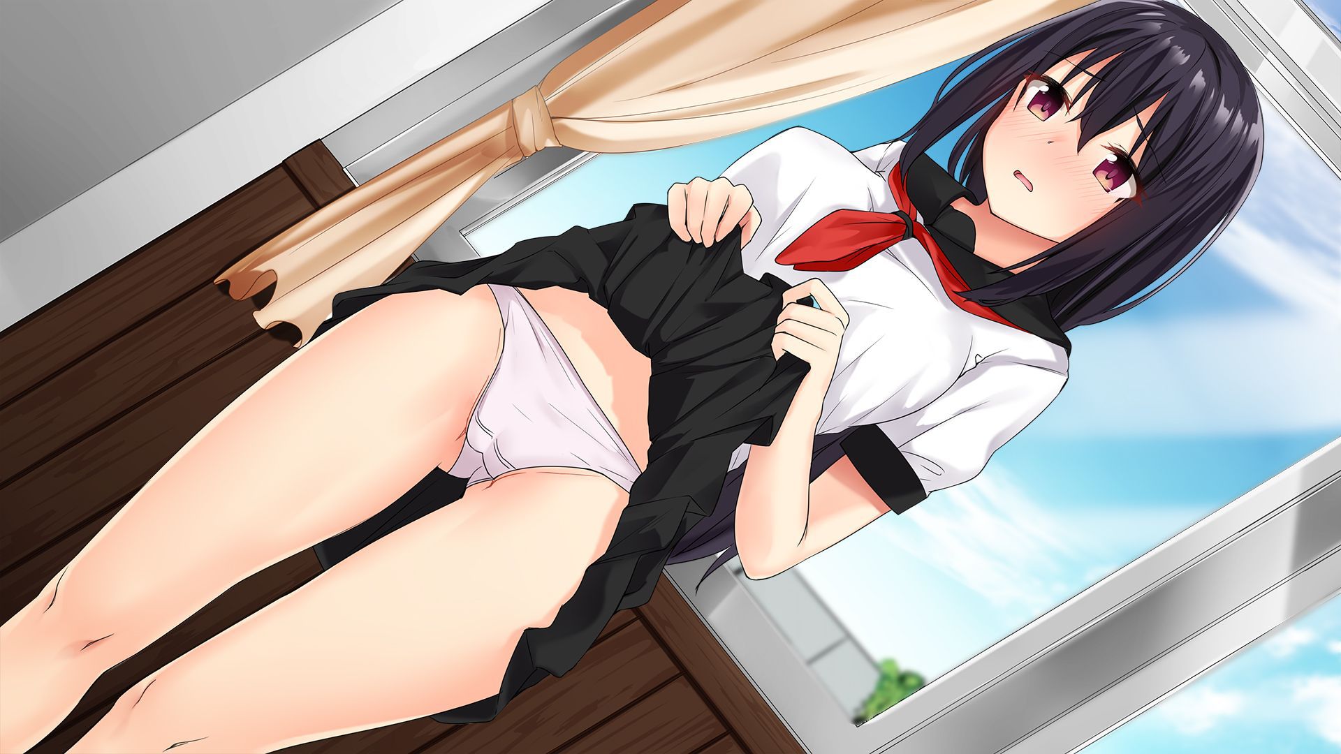 Secondary erotic erotic image of a lewd girl who raises her skirt and shows her pants [30 pieces] 18
