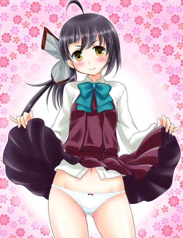 Secondary erotic erotic image of a lewd girl who raises her skirt and shows her pants [30 pieces] 8