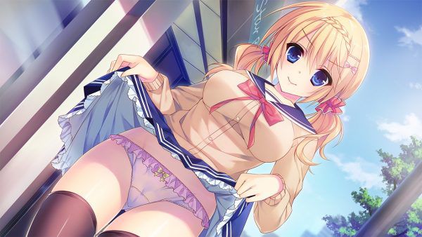 Secondary erotic erotic image of a lewd girl who raises her skirt and shows her pants [30 pieces] 9