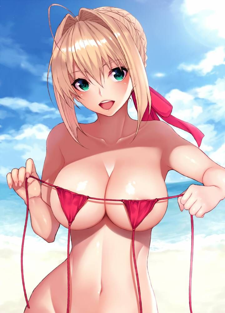 【Secondary】 Fate/Grand Order (Fate/EXTRA-CCC), Nero Claudius' love images summary! No.19 [20 sheets] 1