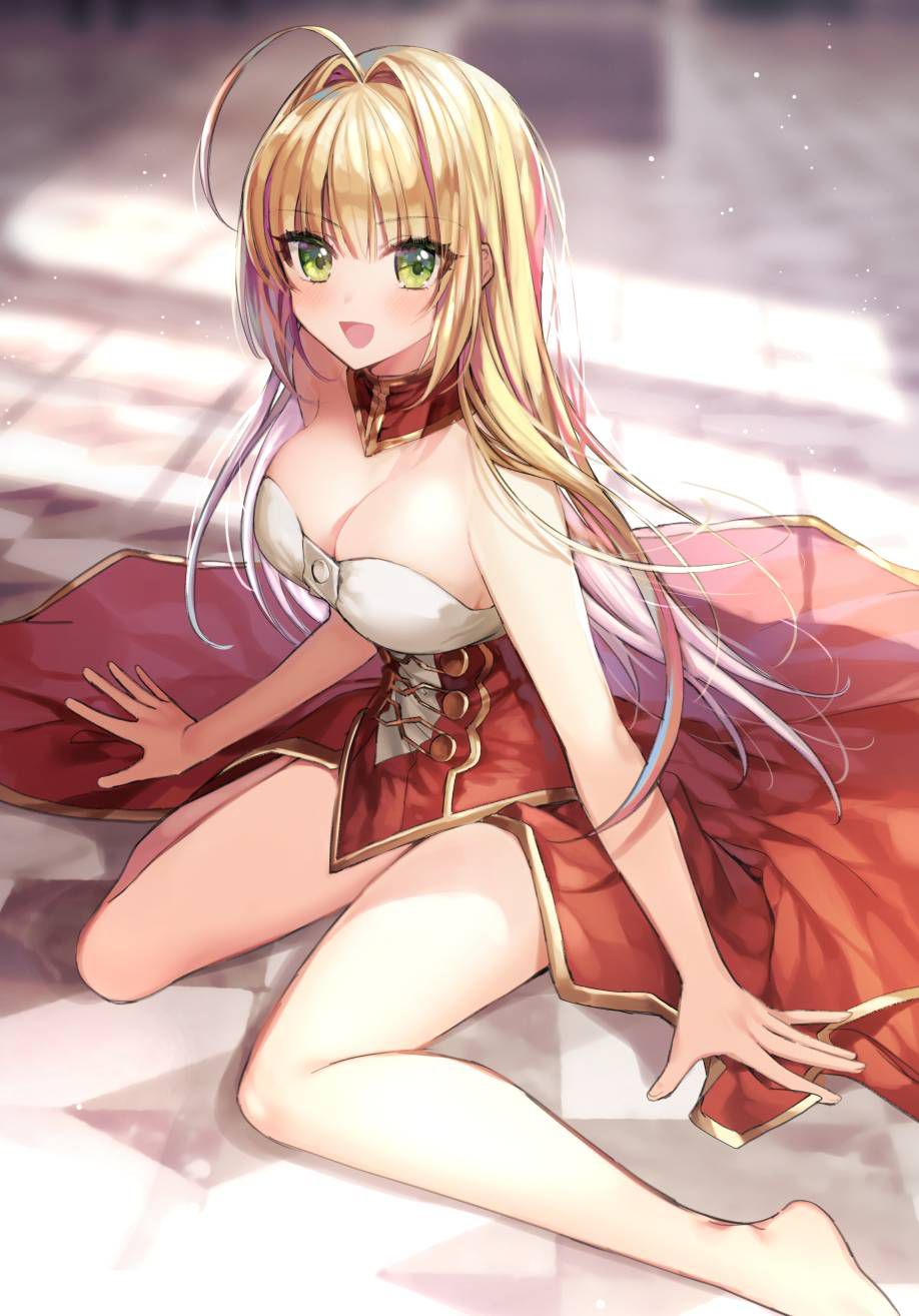 【Secondary】 Fate/Grand Order (Fate/EXTRA-CCC), Nero Claudius' love images summary! No.19 [20 sheets] 7