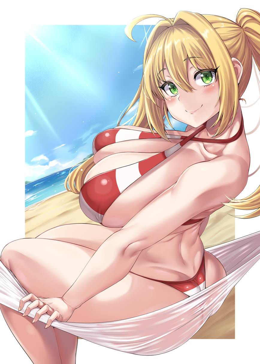 【Secondary】 Fate/Grand Order (Fate/EXTRA-CCC), Nero Claudius' love images summary! No.19 [20 sheets] 8