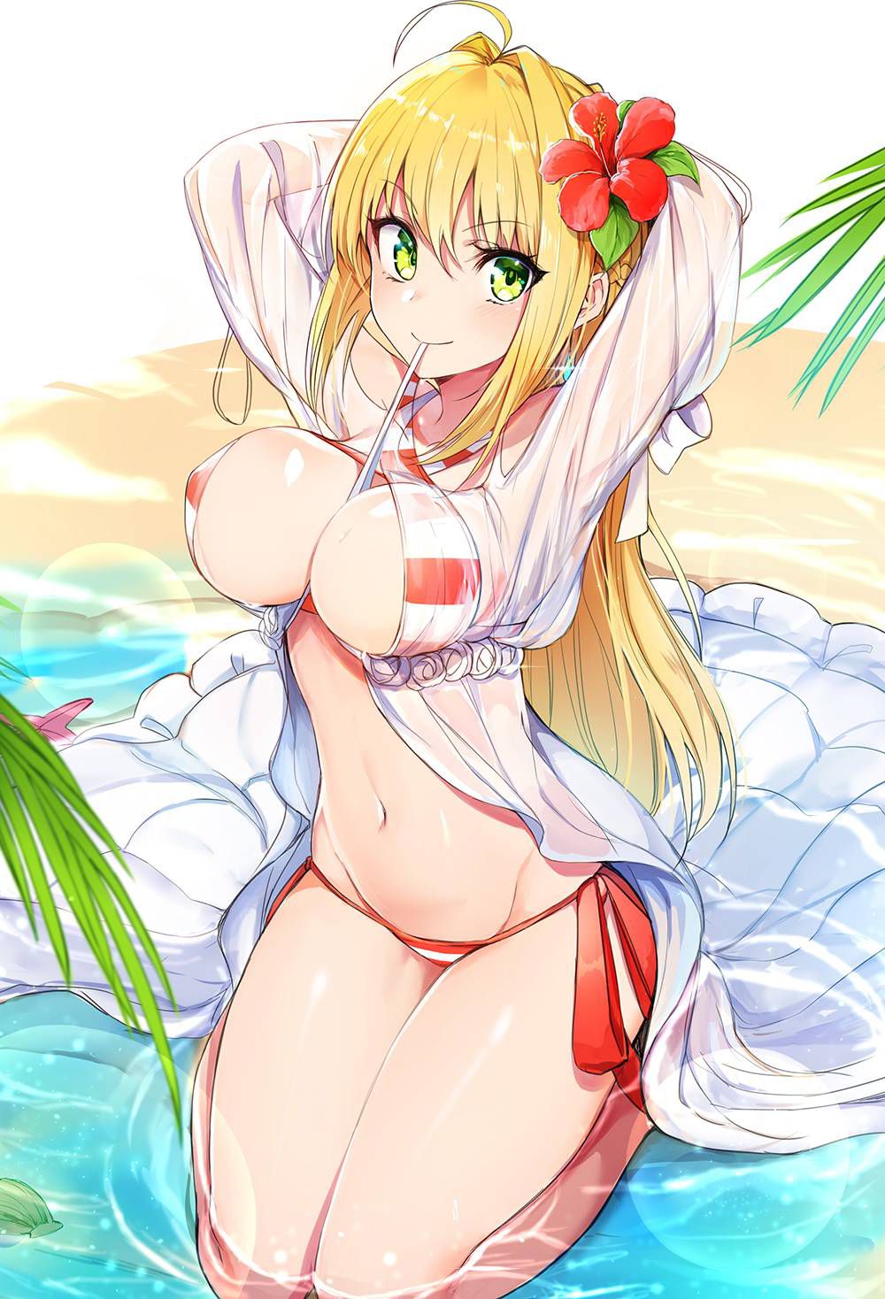 【Secondary】 Fate/Grand Order (Fate/EXTRA-CCC), Nero Claudius' love images summary! No.20 [20 sheets] 12