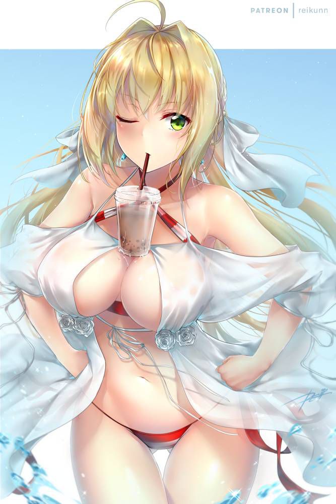 【Secondary】 Fate/Grand Order (Fate/EXTRA-CCC), Nero Claudius' love images summary! No.20 [20 sheets] 13