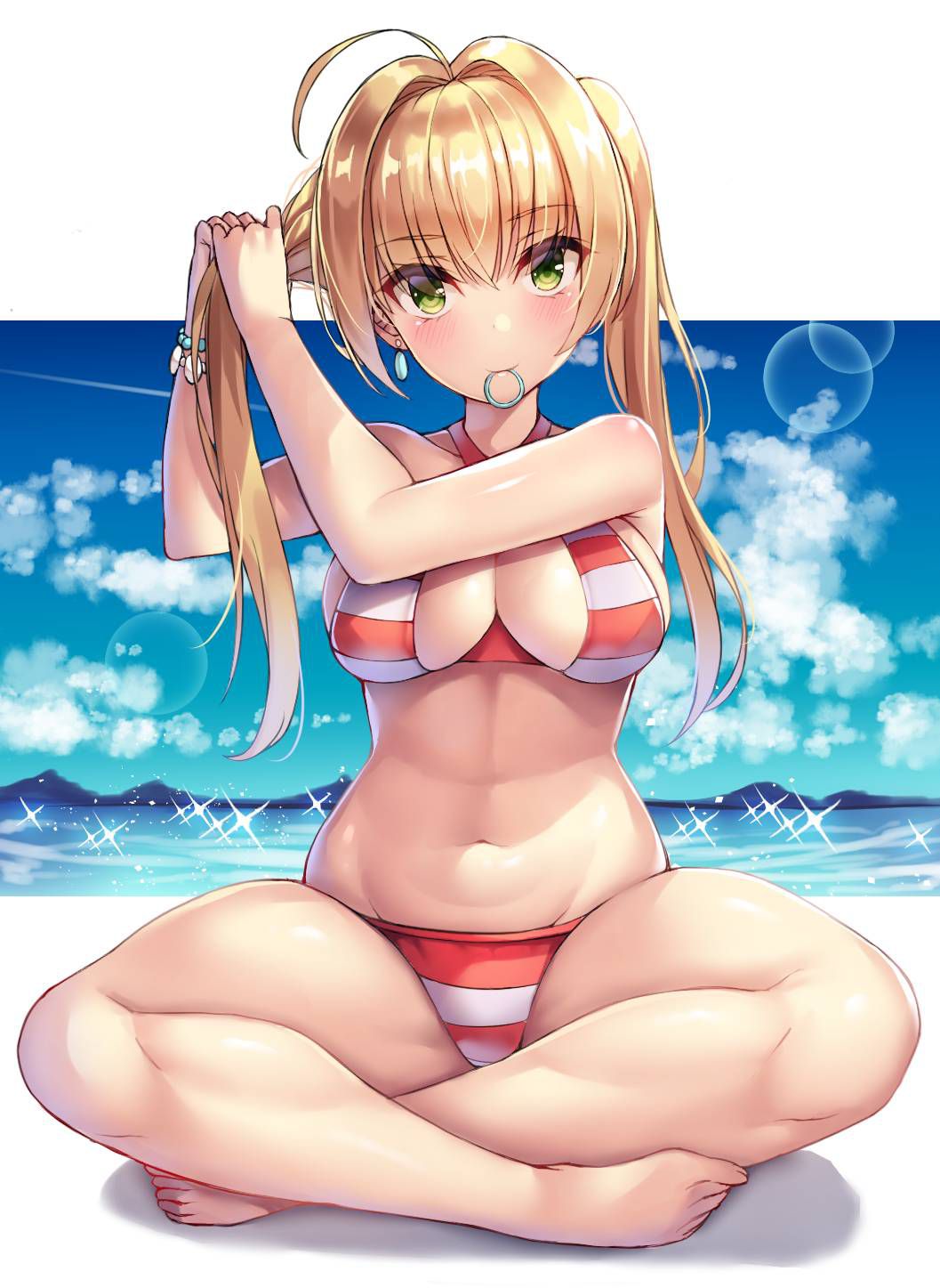 【Secondary】 Fate/Grand Order (Fate/EXTRA-CCC), Nero Claudius' love images summary! No.20 [20 sheets] 6