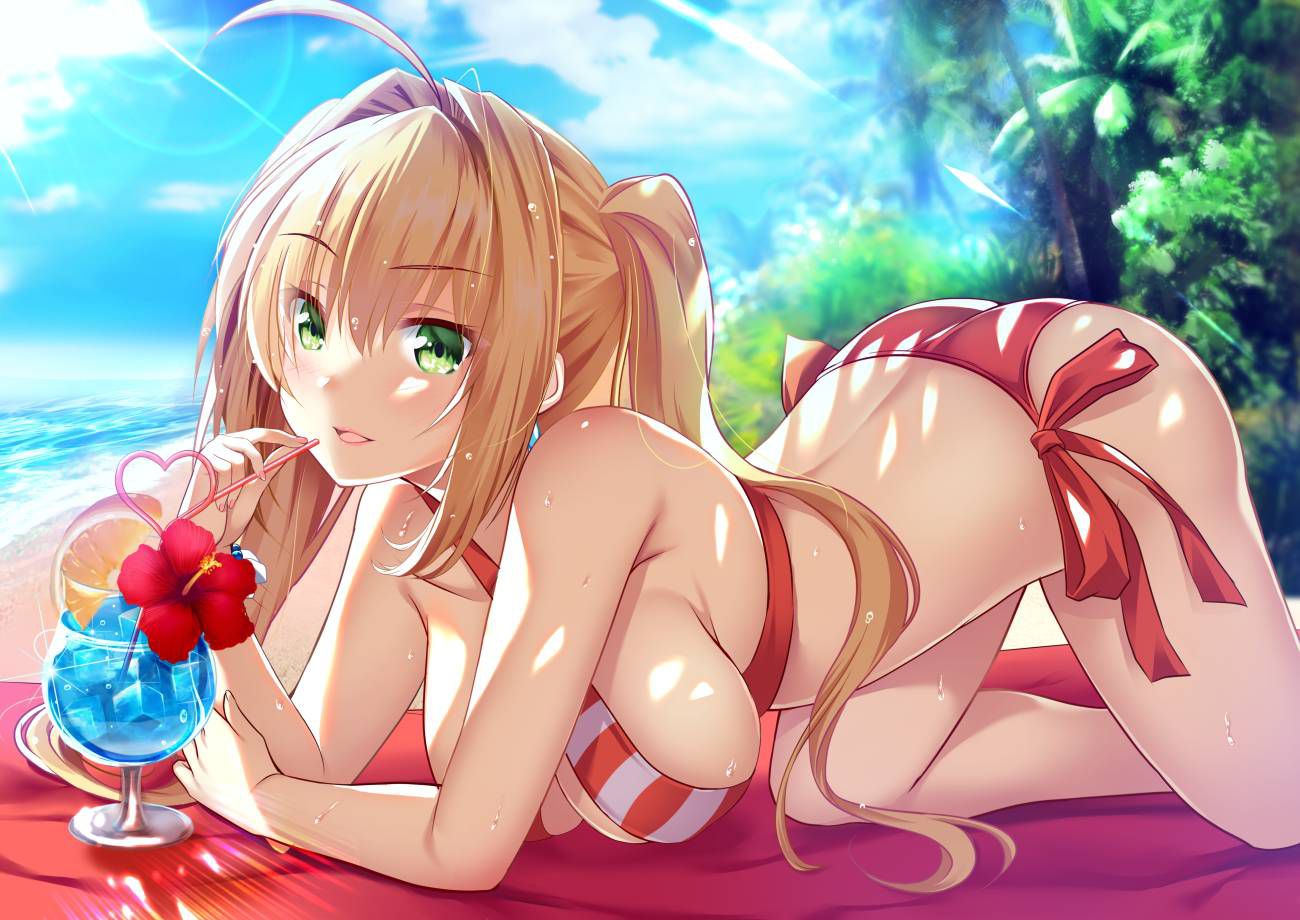 【Secondary】 Fate/Grand Order (Fate/EXTRA-CCC), Nero Claudius' love images summary! No.20 [20 sheets] 7