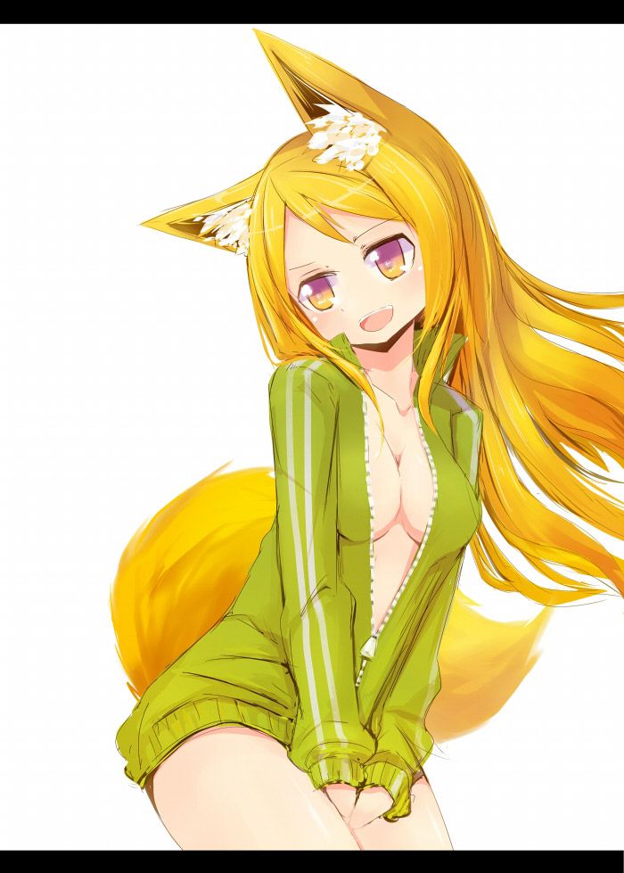 2D Kemono Ear Girl Erotic Moe Image Summary 35 Pieces 18