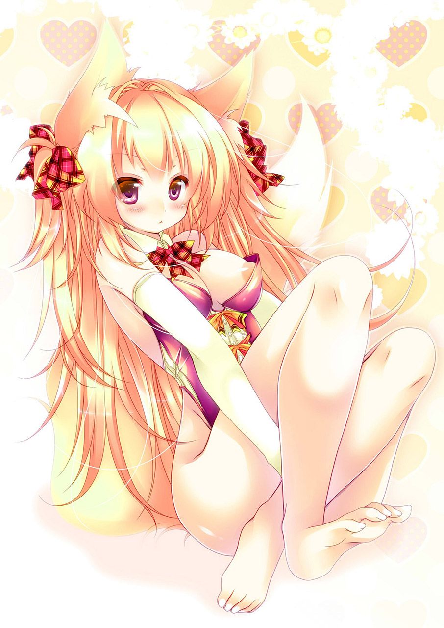 2D Kemono Ear Girl Erotic Moe Image Summary 35 Pieces 22