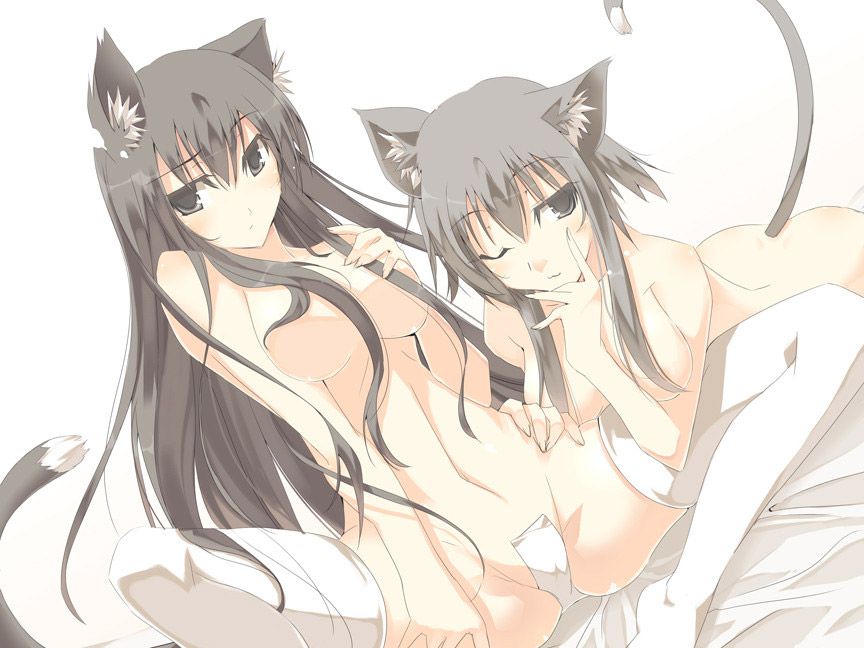 2D Kemono Ear Girl Erotic Moe Image Summary 35 Pieces 26