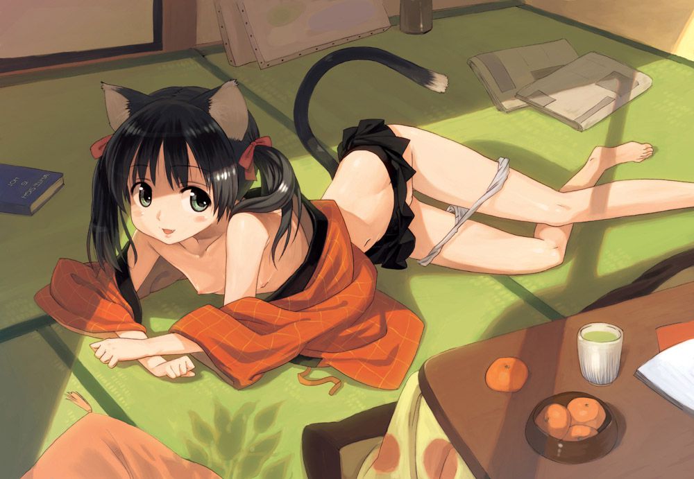 2D Kemono Ear Girl Erotic Moe Image Summary 35 Pieces 3