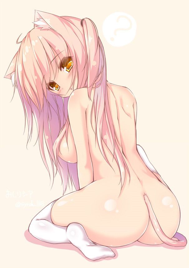 2D Kemono Ear Girl Erotic Moe Image Summary 35 Pieces 30