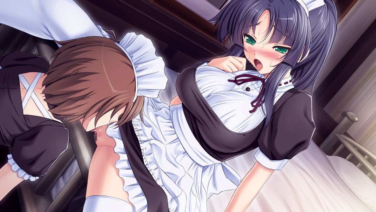 Maid's erotic image summary! 17