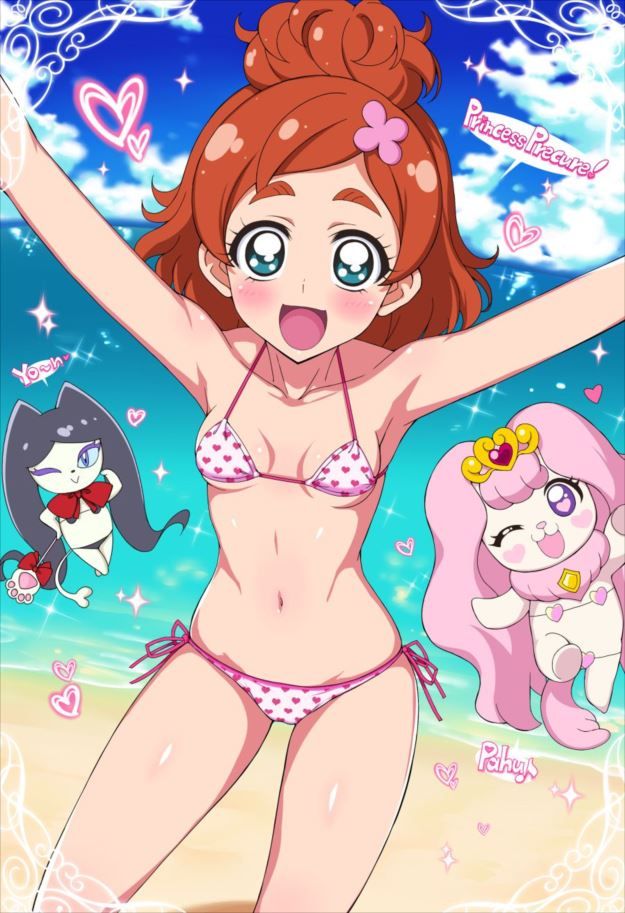 Verifying the charm of Pretty Cure with erotic images 19
