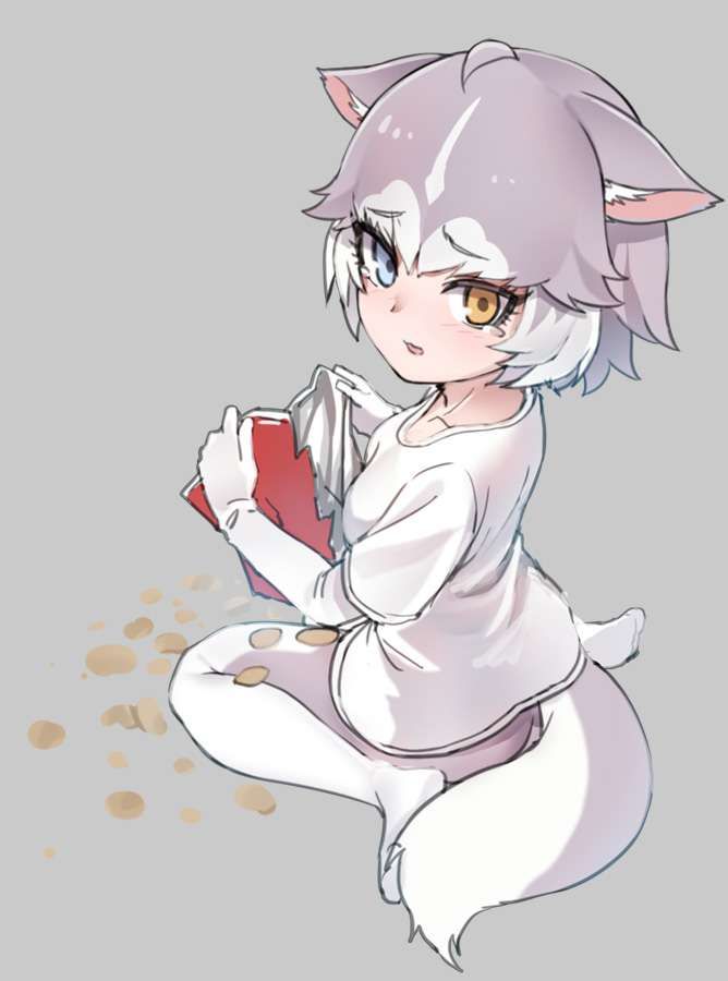 [Kemono Friends] erotic image that pulls out with the etch of The Yeinu 11