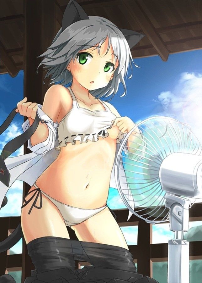 【Strike Witches】Summary of cute picture furnace images of Sanya V. Litvjak 1
