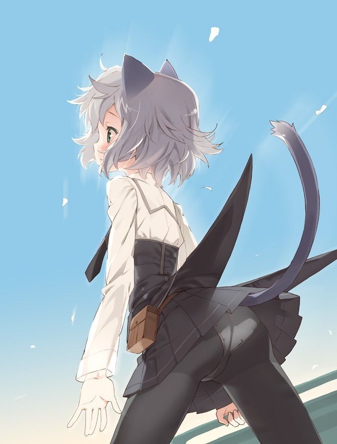 【Strike Witches】Summary of cute picture furnace images of Sanya V. Litvjak 14