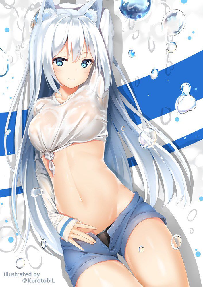 【Silver hair】White shining silver hair beautiful girl image pasted Part 9 28
