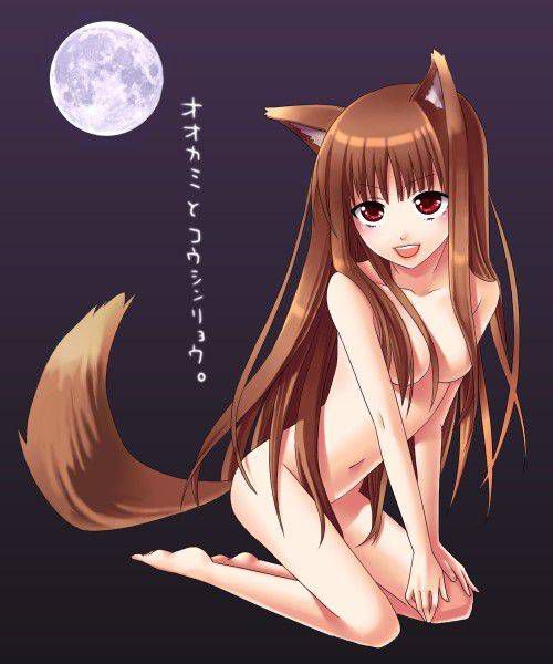 Erotic image Development that is common when you have a delusion to etch with Holo! (Wolf and Spice) 15