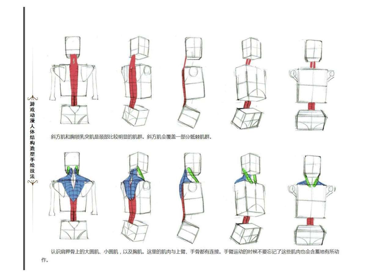 游戏动漫 人体结构手绘造型结构技法 130