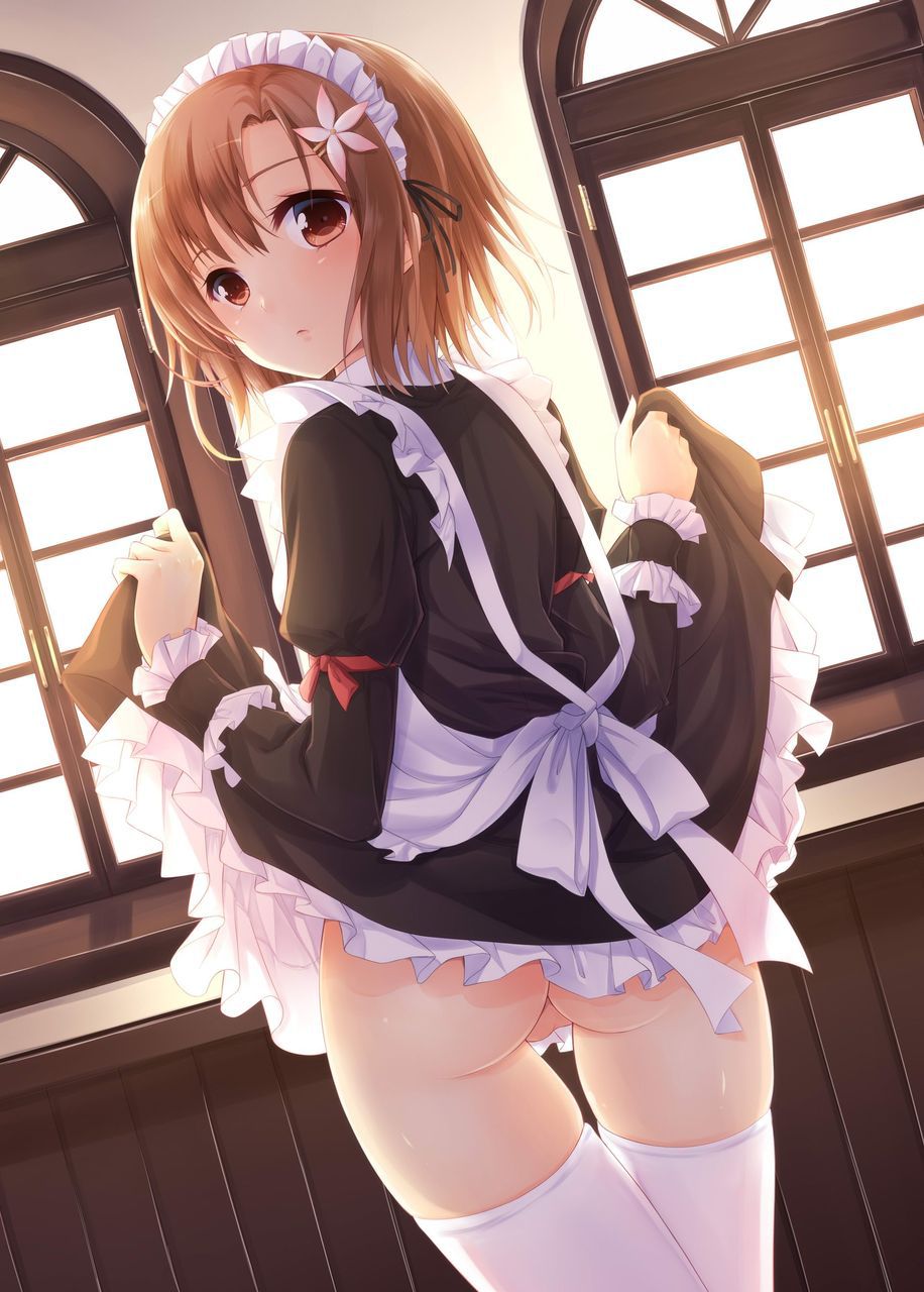 【Maid】Please send me an image of a cute girl in maid clothes Part 18 22