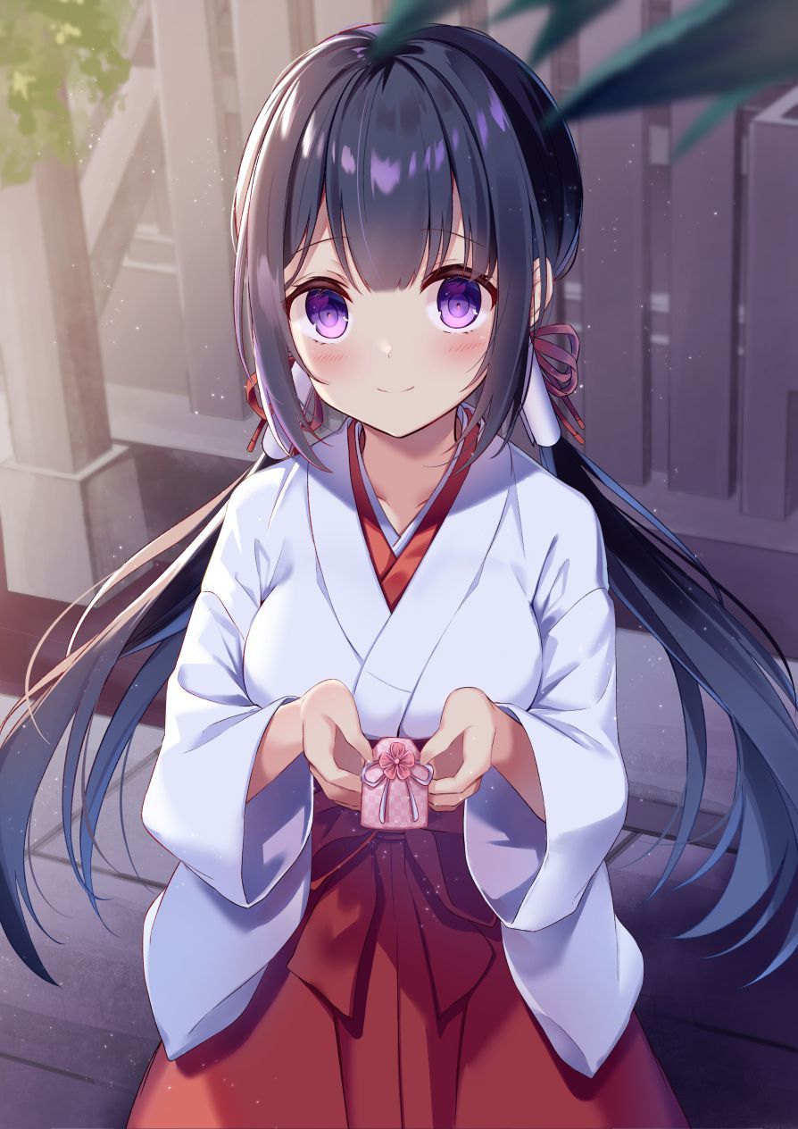 Moe illustration of a shrine maiden 18