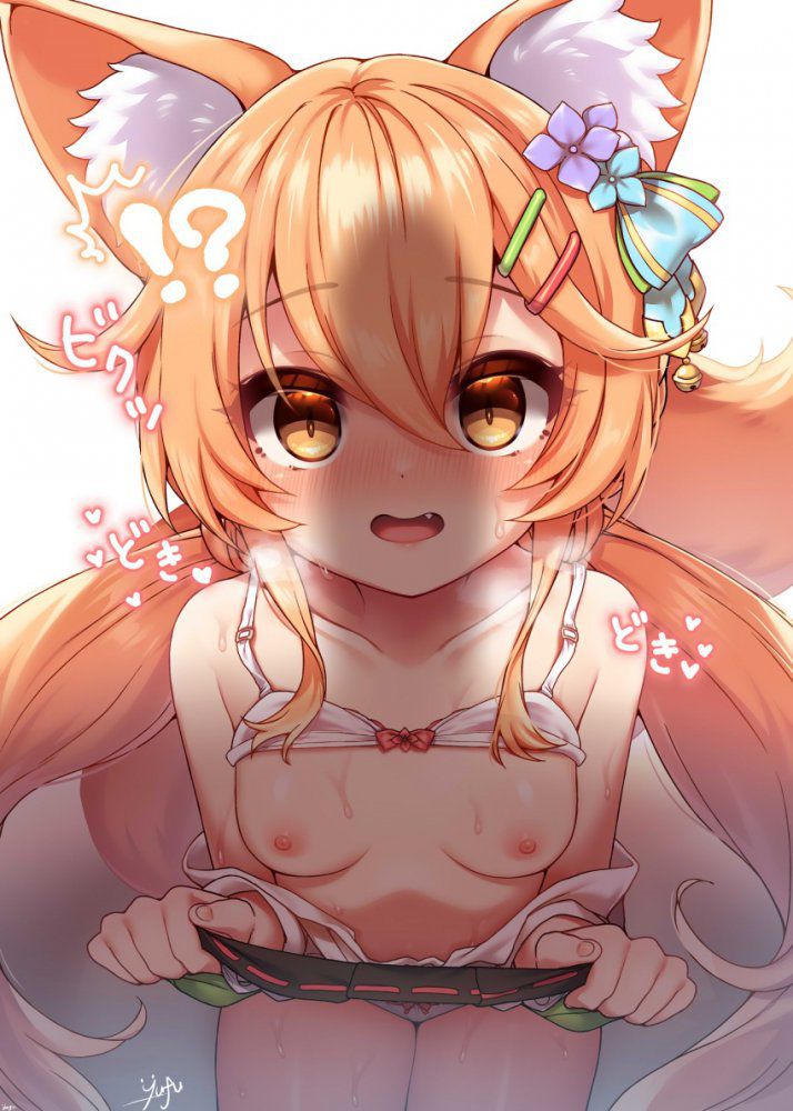 【Kemomimi】Secondary animal ear erotic image [Kemono ear] Part 15 27