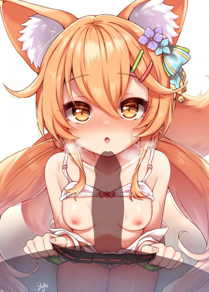 【Kemomimi】Secondary animal ear erotic image [Kemono ear] Part 15 28