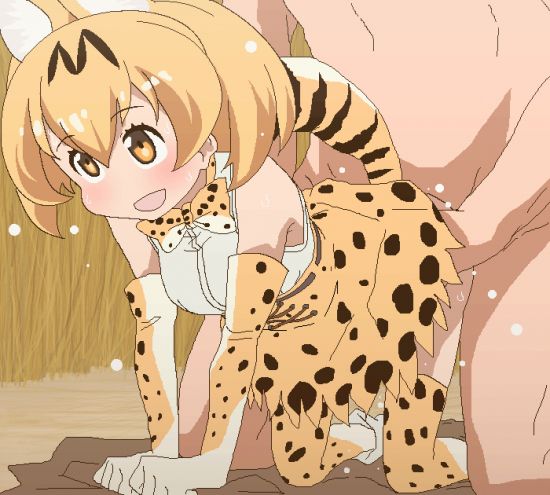 [Secondary erotic] Kemono Friends Serbal Erotic Image Summary [30 sheets] 15