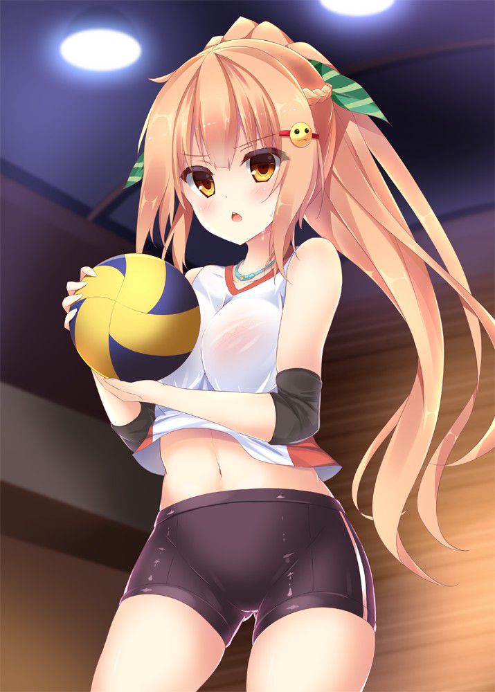 Erotic anime summary] erotic image of a girl with a body line who sportswear is too cute [secondary erotic] 29