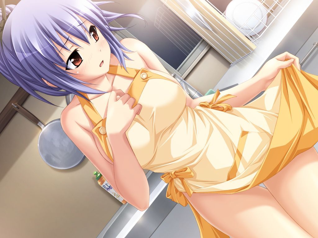 A selection of naked apron images♪ 12
