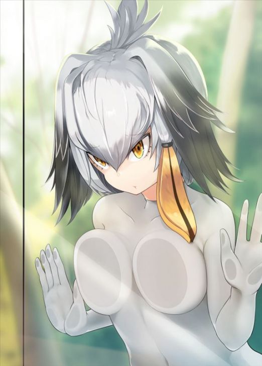 [Kemono Friends] Hashibilakou's intense erotic and hamehame secondary erotic image summary 17