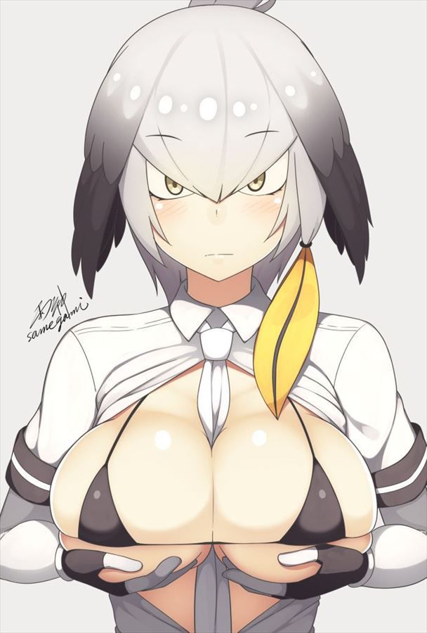 [Kemono Friends] Hashibilakou's intense erotic and hamehame secondary erotic image summary 34