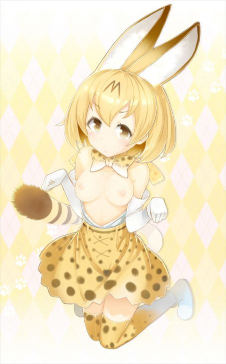 Erotic image Kemono Friends Secondary erotic image that makes you want H like a cartoon 28