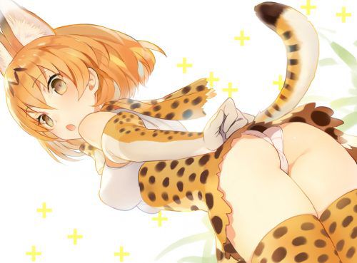 Erotic image Kemono Friends Secondary erotic image that makes you want H like a cartoon 36