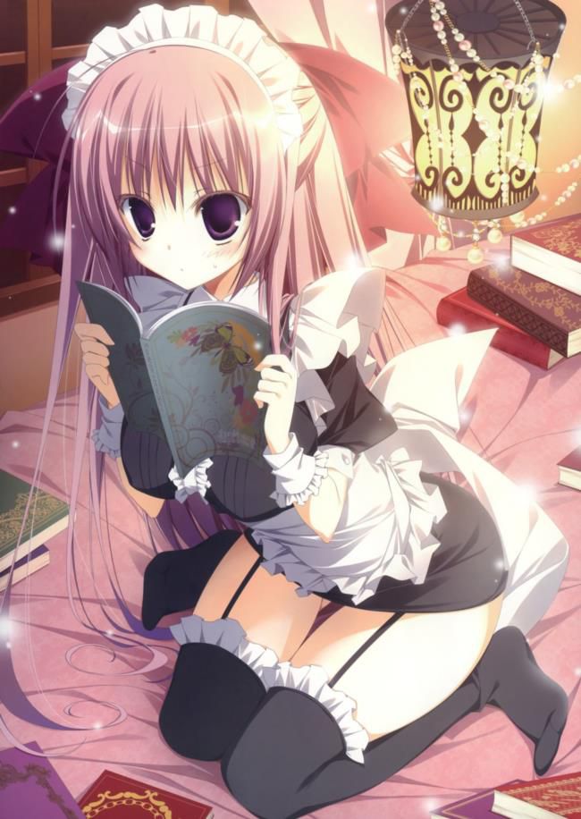 I tried to look for high-quality erotic images of maids! 19