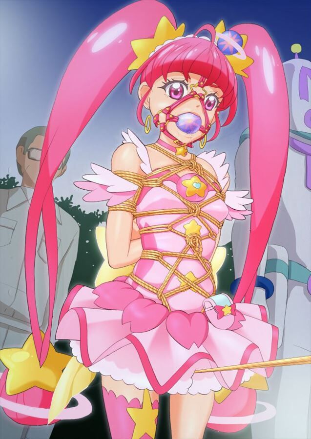 Secondary erotic image of precure 17