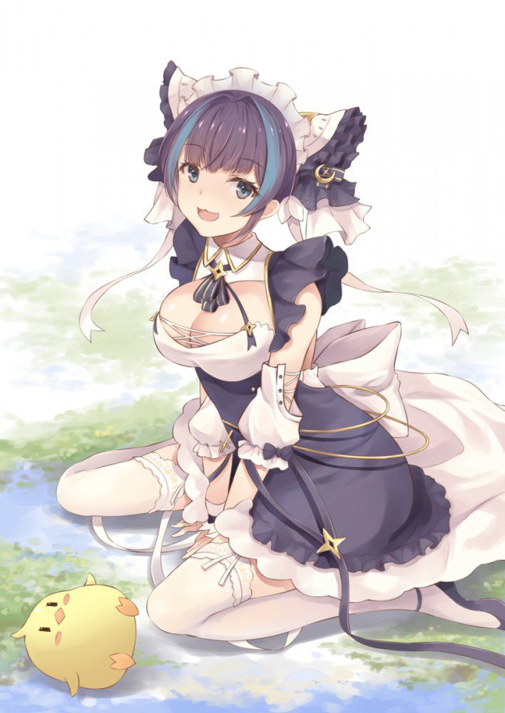 I tried collecting erotic images of Azur Lane! 14