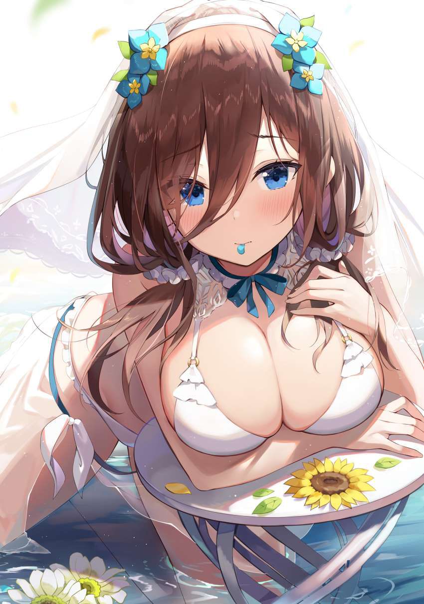 If you are a gentleman who likes images of fifth-class brides, please click here. 4