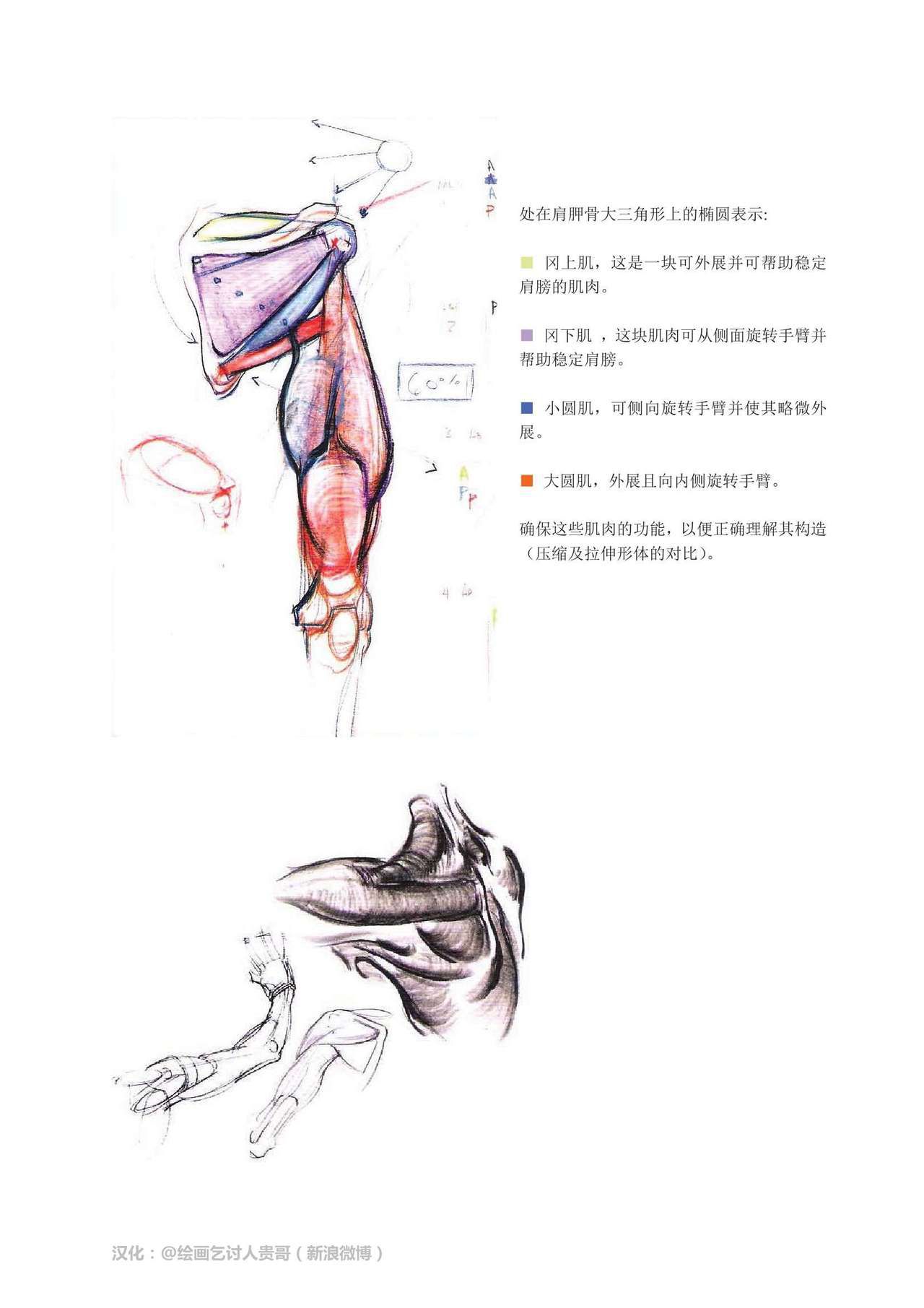 [Micheal Hampton] FIGURE DRAWING, Design and Invention [chinese] [迈克尔·汉普顿] 人体绘画：设计与创造 [贵哥汉化] 140