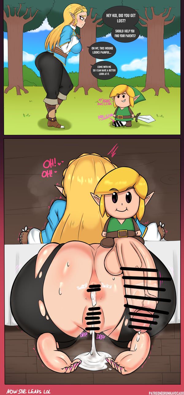 Erotic image of the legend series of Zelda [Zelda (Brewai)] 63